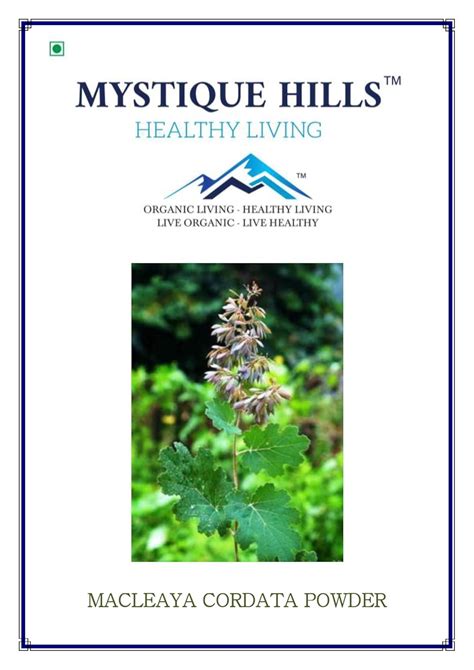 Mystique Hills Macleaya cordata powder (100 g) : Amazon.in: Beauty