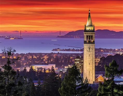 Tilden Park Little Farm (2026) - All You MUST Know Before You Go (with ...