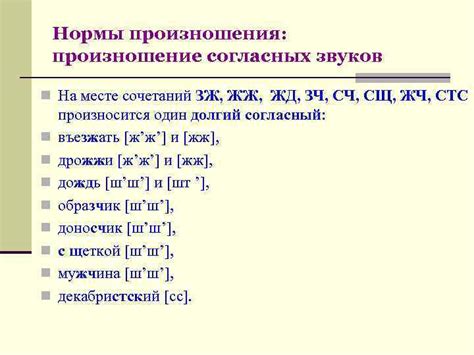 Правильность речи. Речевые нормы современного русского языка