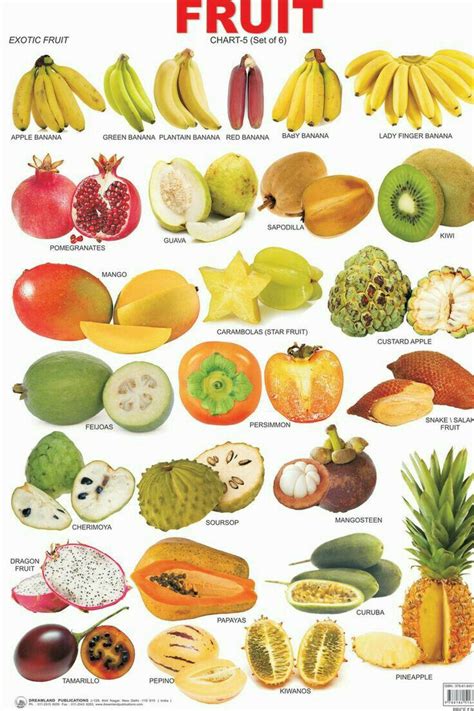 fruit diagram labeled