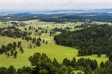 THE 5 BEST Places to Visit in Wind Cave National Park (2026)