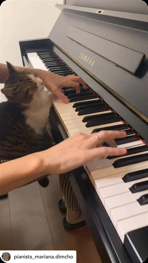 Image result for Tick Tock Tutorials