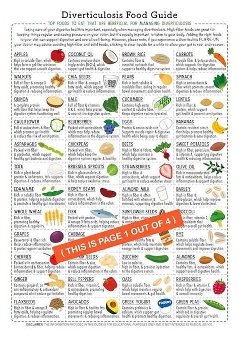 Diverticulosis Food Guide / 4-page Pdf PRINTABLE DOWNLOAD / Patient ...