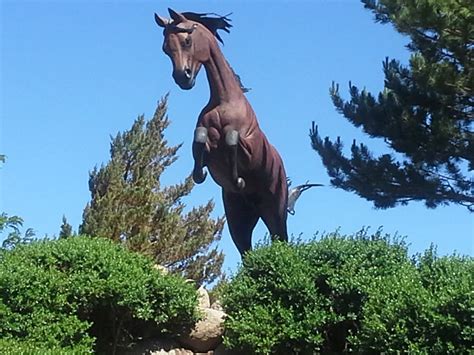 Ruidoso Downs Tourism (2024): All You Need to Know Before You Go