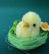 Image result for Easter Chick Patterns