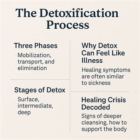 Process Body 的图像结果
