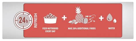 Buy Versele-Laga Nutribird A21 Hand Rearing Food For Amazons, Cockatoos ...