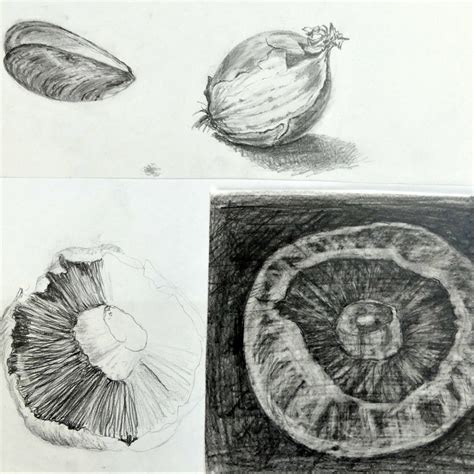 Classes - Sidmouth Craft Hub