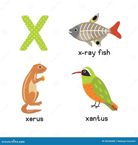 List 91+ Pictures Exotic Animals That Start With X Updated