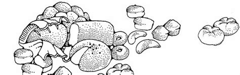 Who Takes These Classes