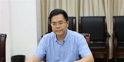浙江丽水一副市长被逮捕 持有巨额股票沉迷炒股_手机新浪网