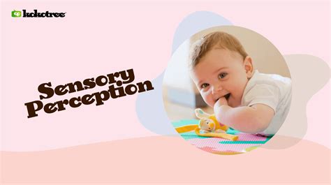 Sensory Perception in Kids. How To - Kokotree