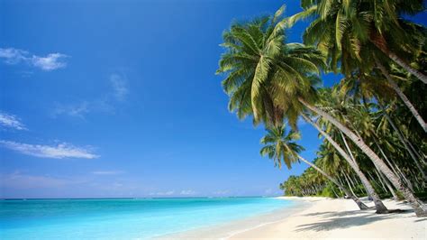 Image result for Beach Python Code