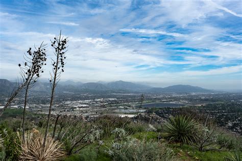 Bee Canyon and O'Melveny Park - Our Work in CA