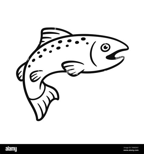 Black and white salmon drawing. Simple hand drawn fish illustration ...