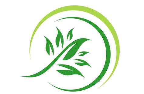 What Makes Born Good's Home Cleaning Products Eco-Friendly? – BornGood