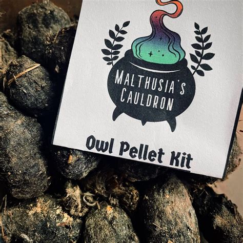 Owl Pellet Dissection Kit - Etsy