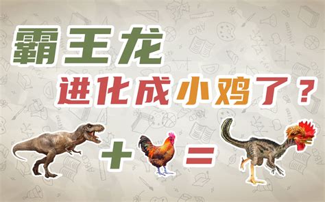 鸡和霸王龙是“表兄妹“？恐龙鸡是什么鬼？霸王龙进化成小鸡了？_哔哩哔哩 (゜-゜)つロ 干杯~-bilibili