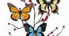 butterfly home decor food decor butterfly home decor butterfly home decor food decor butterfly home decor