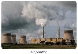 Our Environment Important Notes - Class 4 Science - Fully Solved Notes ...