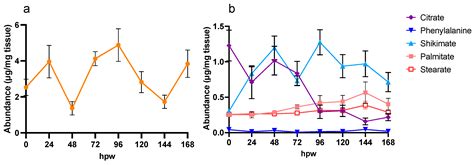 Timing Is Everything: The Metabolic Partitioning of Suberin-Destined Carbon