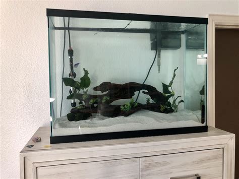 A Simple Guide For Setting Up Of A 37 Gallon Aquarium - Fishxperts
