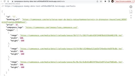 Image result for Dummy API Example