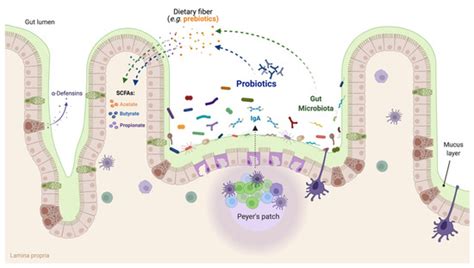 Microorganisms | May 2022 - Browse Articles