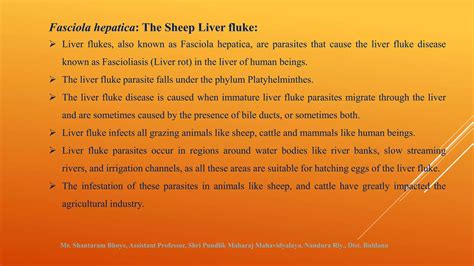 Fasciola hepatica (The Liverfluke).pptx