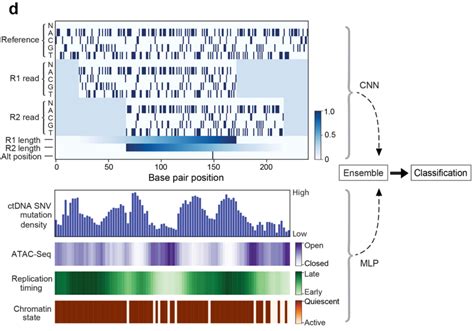 Going Founder Mode On Cancer - by Elliot Hershberg