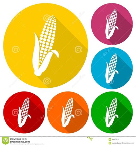玉米标志象设置与长的阴影 向量例证. 插画 包括有 当地, 新鲜, 健康, 痛苦, 要素, 设计, 自然 - 86480625