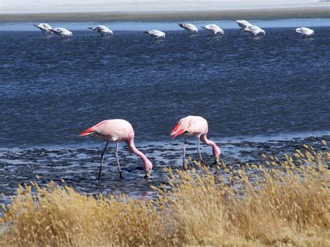 OLIVOS TOURS (2026) All You Need to Know BEFORE You Go (with Photos ...