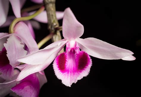 Temporal Isolation Definition