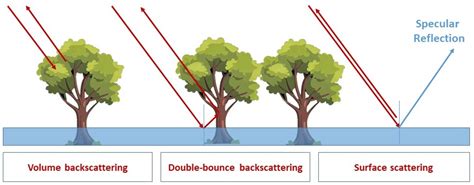 Flood Detection with SAR: A Review of Techniques and Datasets