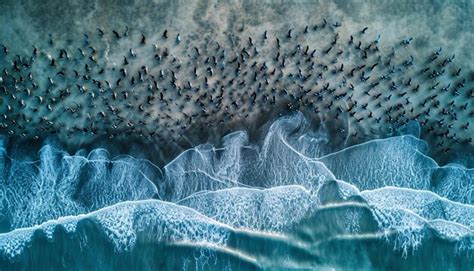 Aerial Photography Using Drones 的图像结果