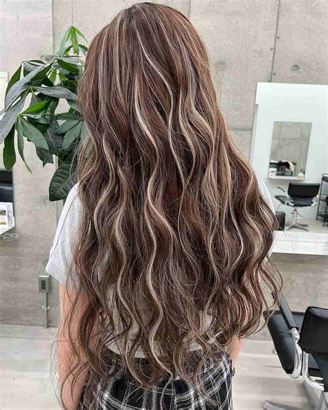 Curly Brown Hair With Highlights