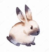 Image result for Rabbit Watercolor Illustration