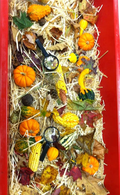 Fall Sensory Bin Ideas For Preschool at Judy Moore blog