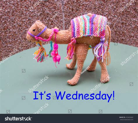Hump Day Wednesday Camel