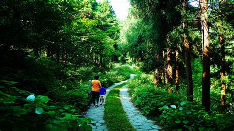 Hotels with Bathtubs in Gucheng | Trip.com