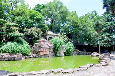 【携程攻略】杭州天都公园景点,很小的景点，还要收门片，就是在一个小山上建点城堡供游人拍摄，门口…