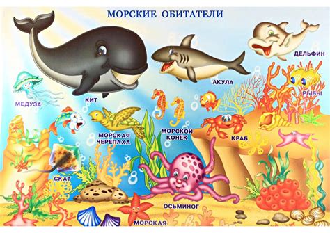 Обитатели морей и океанов , Подводный мир , Развивающие мультики.mp4 ...