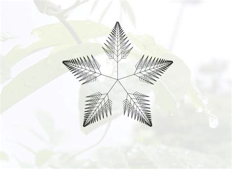 D'source Design Gallery on Star Visual Patterns - Star Visual Patterns ...