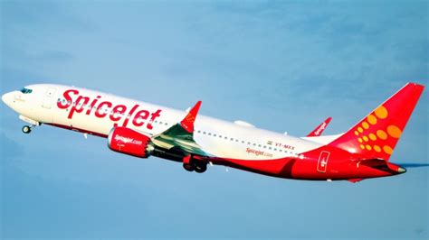Image result for SpiceJet Big