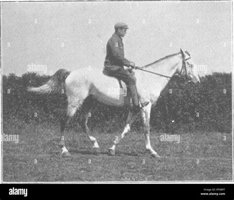 Physical Characteristics Definition