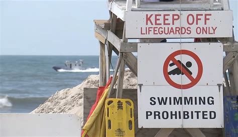 School of sharks closes down Long Island's Robert Moses Beach on Fourth ...