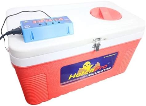 Hatchpro 75 eggs incubator fully automatic for egg hatching | with new ...