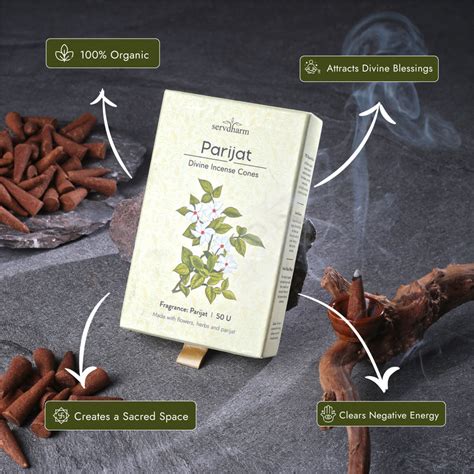 Parijat Divine Incense Cones | Fragrance: Parijat | Pack of 50 – ServDharm
