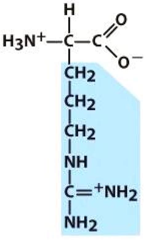 Amino Acids as the Potential Co-Former for Co-Crystal Development: A Review