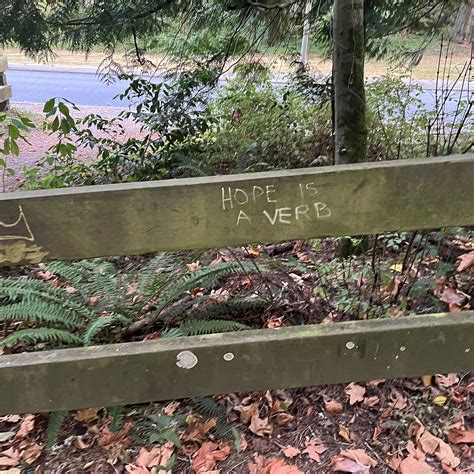 Sehome Hill Arboretum (2026) - All You MUST Know Before You Go (with ...